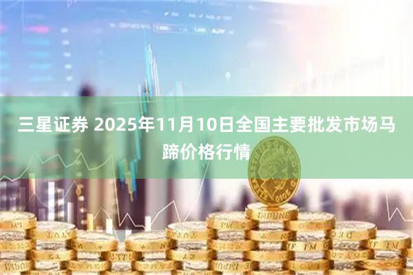 三星证券 2025年11月10日全国主要批发市场马蹄价格行情